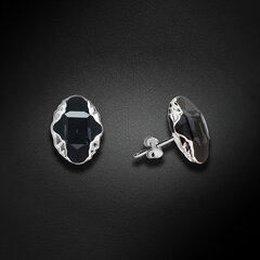 Naiste kõrvarõngad Diamond Sky „Delia (Graphite Lite Chrome)“ koos Swarovski kristallidega DS02A624 hind ja info | Kõrvarõngad | kaup24.ee