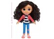 Gabby's Dollhouse nukk ja kingipadi Cat, 50 cm цена и информация | Tüdrukute mänguasjad | kaup24.ee