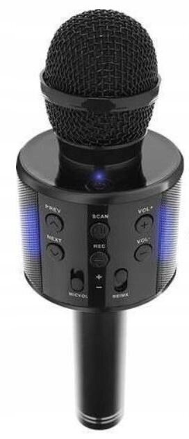 Juhtmevabad kõrvaklapid lastele, RGB-ga + karaoke Bluetooth mikrofon цена и информация | Kõrvaklapid | kaup24.ee