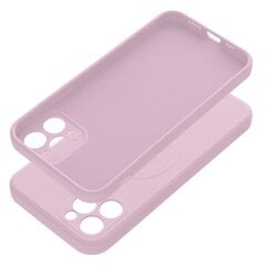 Oem iPhone 12 Pro цена и информация | Чехлы для телефонов | kaup24.ee