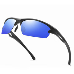 Sinised päikeseprillid цена и информация | Солнцезащитные очки для мужчин | kaup24.ee