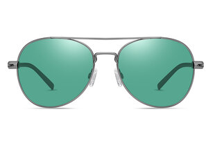 Päikeseprillid rohelised, hõbedased цена и информация | Солнцезащитные очки для мужчин | kaup24.ee