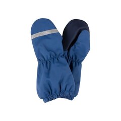 Lenne kindad poistele Rain 23173*670 4741593331503, sinine цена и информация | Шапки, перчатки, шарфы для мальчиков | kaup24.ee