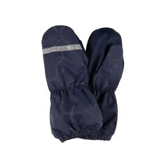Детские варежки Lenne Rain 23173 A*2997, тёмно-синие, 4741593331305 цена и информация | Шапки, перчатки, шарфы для мальчиков | kaup24.ee