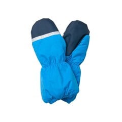 Lenne варежки для детей Snow 22175*631, синий 4741593117503 цена и информация | Шапки, перчатки, шарфы для мальчиков | kaup24.ee