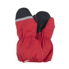 Lenne варежки для детей Snow 23175*622, красный 4741593409769 цена и информация | Шапки, перчатки, шарфы для мальчиков | kaup24.ee