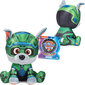 Maskott Paw Patrol Rocky pehmo, 17 cm hind ja info | Pehmed mänguasjad | kaup24.ee