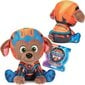 Maskott Paw Patrol Zuma pehme, 17 cm цена и информация | Pehmed mänguasjad | kaup24.ee