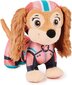 Maskott Paw Patrol Liberty, 20 cm hind ja info | Pehmed mänguasjad | kaup24.ee