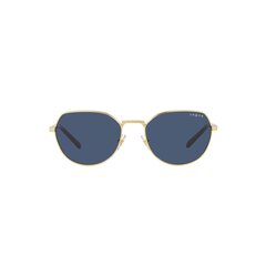 Солнцезащитные очки для женщин Vogue 4242S S7265313 цена и информация | Женские солнцезащитные очки | kaup24.ee
