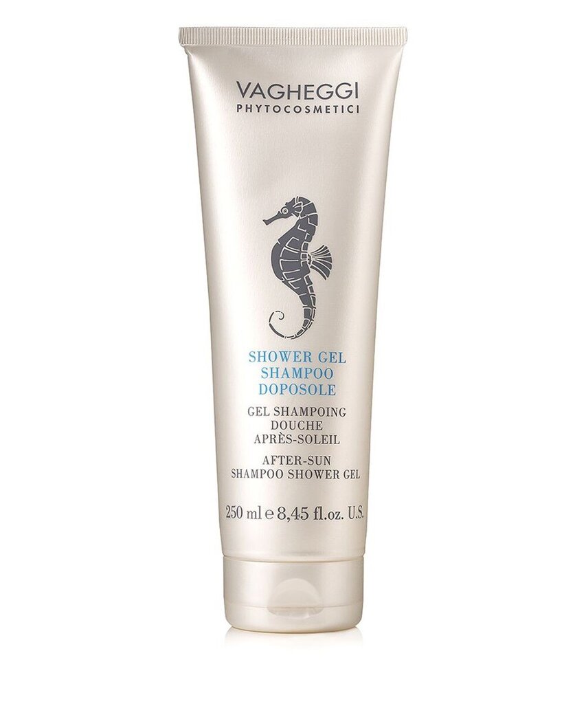 Päikesejärgne šampoon ja dušigeel Vagheggi After-Sun Shampoo Shower Gel, 250 ml цена и информация | Šampoonid | kaup24.ee