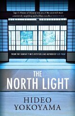 North Light цена и информация | Фантастика, фэнтези | kaup24.ee