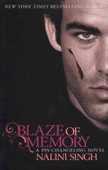 Blaze of Memory: Book 7 hind ja info | Fantaasia, müstika | kaup24.ee