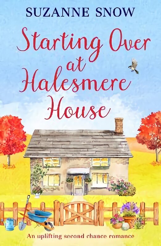 Starting Over at Halesmere House цена и информация | Fantaasia, müstika | kaup24.ee