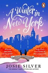 Winter in New York: The delicious new wintery romance from the Sunday Times bestselling author of One Day in December цена и информация | Фантастика, фэнтези | kaup24.ee