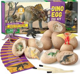 Teaduslik arheoloogia mängukomplekt Stem Dino Egg цена и информация | Развивающие игрушки | kaup24.ee