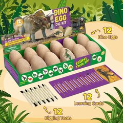 Teaduslik arheoloogia mängukomplekt Stem Dino Egg hind ja info | Arendavad mänguasjad | kaup24.ee