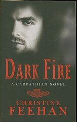 Dark Fire: Number 6 in series цена и информация | Фантастика, фэнтези | kaup24.ee