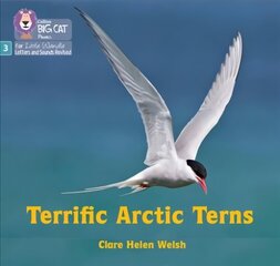 Terrific Arctic Terns: Phase 3 Set 2 цена и информация | Книги для подростков и молодежи | kaup24.ee