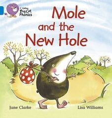 Mole and the New Hole: Band 04/Blue цена и информация | Книги для подростков и молодежи | kaup24.ee