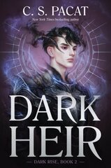 Dark Heir hind ja info | Noortekirjandus | kaup24.ee