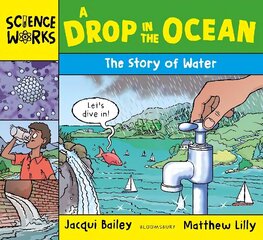 Drop in the Ocean: The Story of Water цена и информация | Книги для подростков и молодежи | kaup24.ee