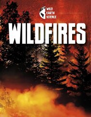 Wildfires цена и информация | Книги для подростков и молодежи | kaup24.ee