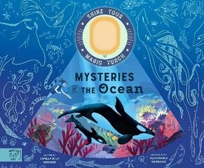 Mysteries of the Ocean: Includes Magic Torch Which Illuminates More Than 50 Marine Animals цена и информация | Книги для подростков и молодежи | kaup24.ee