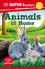 DK Super Readers Level 2 Animals at Home hind ja info | Noortekirjandus | kaup24.ee