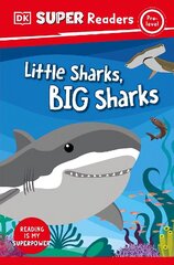 DK Super Readers Pre-Level Little Sharks Big Sharks hind ja info | Noortekirjandus | kaup24.ee