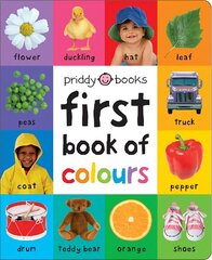 First Book of Colours hind ja info | Väikelaste raamatud | kaup24.ee