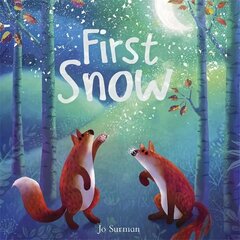 First Snow hind ja info | Väikelaste raamatud | kaup24.ee