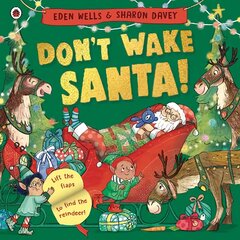 Don't Wake Santa: A lift-the-flap Christmas book цена и информация | Книги для малышей | kaup24.ee