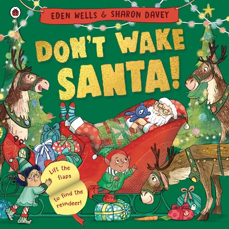Don't Wake Santa: A lift-the-flap Christmas book hind ja info | Väikelaste raamatud | kaup24.ee