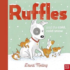 Ruffles and the Cold, Cold Snow hind ja info | Väikelaste raamatud | kaup24.ee