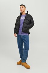 Jack & Jones мужская куртка 12252920*01, черный 5715509186135 цена и информация | Мужские куртки | kaup24.ee