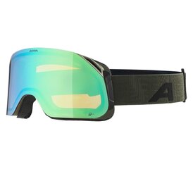 Suusaprillid Alpina Blackcomb Q-Lite, must/roheline hind ja info | Suusaprillid | kaup24.ee