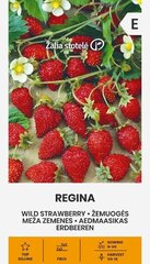 Земляника Regina, 0.1 г цена и информация | Семена овощей, ягод | kaup24.ee