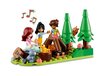 41735 LEGO® Friendsi mobiilne kodu, 785 d. ja kingipadi Kass, 50 cm цена и информация | Klotsid ja konstruktorid | kaup24.ee