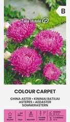 Астра китайская Colour carpet цена и информация | Семена цветов | kaup24.ee