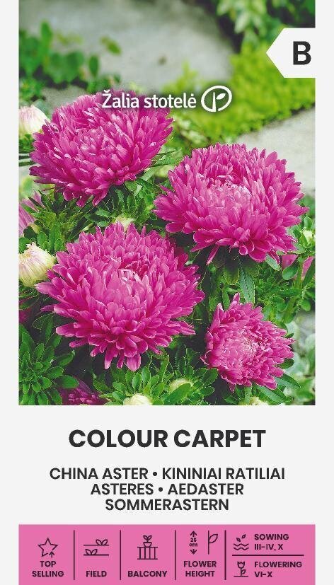 Hiina aster Colour carpet цена и информация | Lilleseemned | kaup24.ee