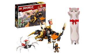 71782 LEGO® Ninjago Cole Earth Dragon EVO, 285 d. ja kingipadi Kass, 50 cm цена и информация | Конструкторы и кубики | kaup24.ee