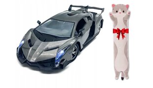 Laste võidusõiduauto roolirattaga RC NR1 ja padjaga Cat, 50 cm цена и информация | Игрушки для мальчиков | kaup24.ee