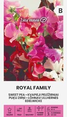 Душистый горошек Royal family цена и информация | Семена цветов | kaup24.ee