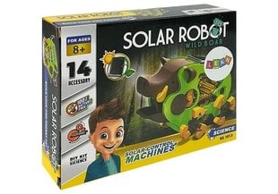 Интерактивный робот-кабан на солнечных батареях цена и информация | Игрушки для мальчиков | kaup24.ee