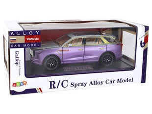 Kaugjuhitav auto valgus- ja heliefektidega, lilla hind ja info | Poiste mänguasjad | kaup24.ee