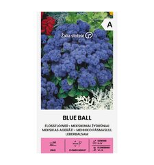 Mehhiko päsmaslill Blue ball цена и информация | Зайцехвост яйцевидный | kaup24.ee