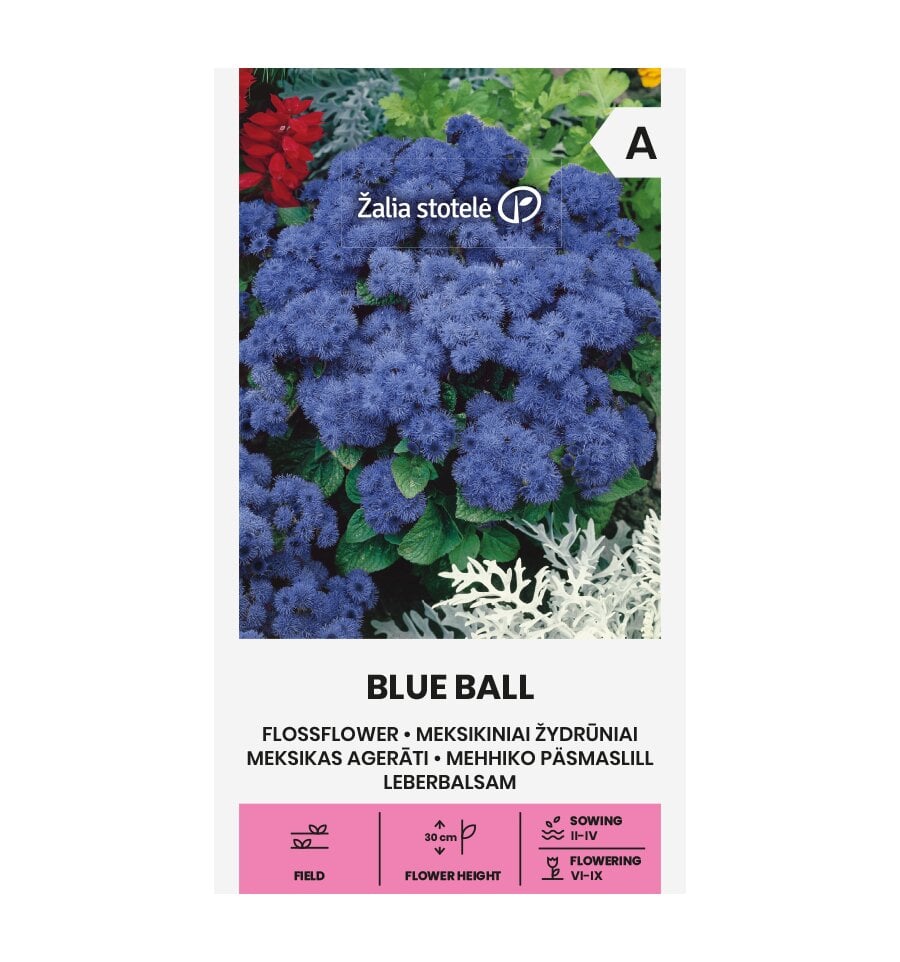 Mehhiko päsmaslill Blue ball hind ja info | Lilleseemned | kaup24.ee