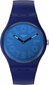 Käekell meestele Swatch SO29N107 hind ja info | Meeste käekellad | kaup24.ee