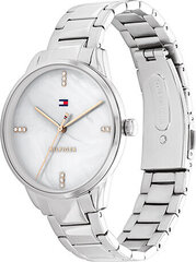 Käekell meestele Tommy Hilfiger 1782544 цена и информация | Мужские часы | kaup24.ee